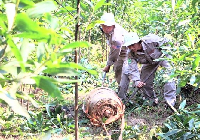 Phát hiện quả bom gần 4 tạ trong rừng tràm - ảnh 1