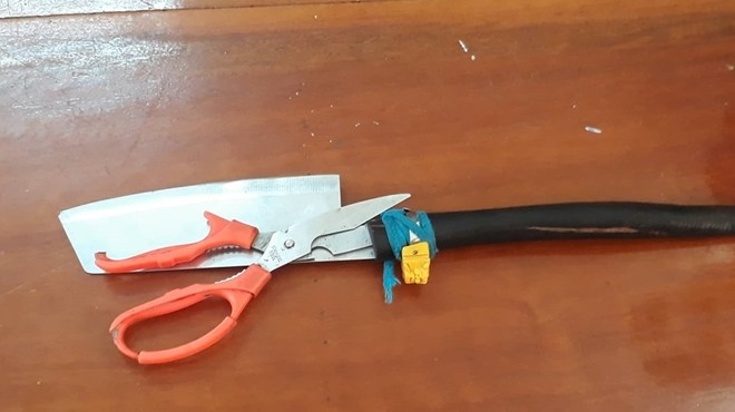 Khởi tố đối tượng 'ngáo' chém loạn xạ xe nữ Giám đốc Sở GD-ĐT - ảnh 2