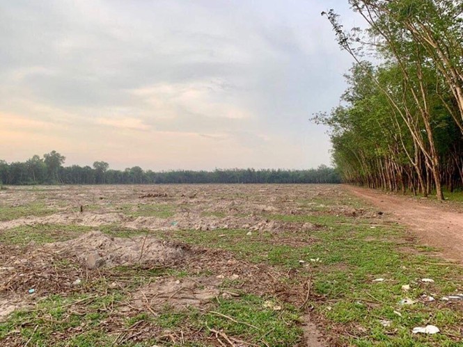 Vụ ông Lê Tấn Hùng, Chủ tịch UBND TPHCM: “Để công an xử lý…” - ảnh 4
