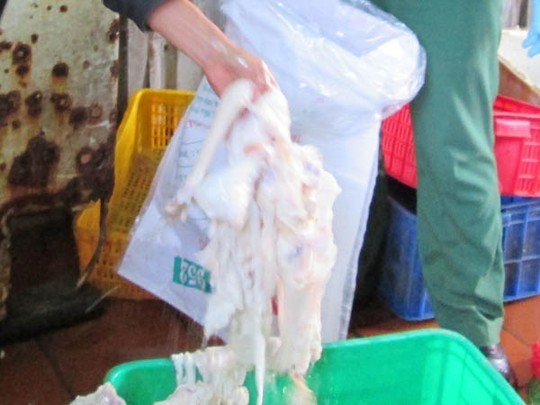 Phát hiện lò tẩy trắng chân trâu bò thối làm đồ nhậu - ảnh 2