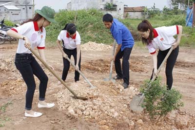 Người đẹp Hạ Long tham gia bảo vệ môi trường - ảnh 4