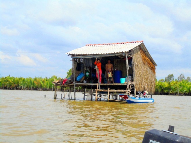 Làm giàu nhờ nuôi sò huyết trên Đất Mũi - ảnh 2