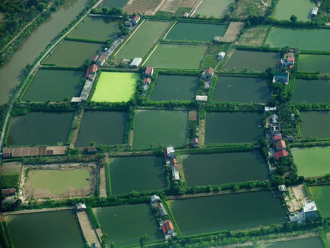 Thuê thủy phi cơ ngắm cảnh đẹp như tranh - ảnh 3