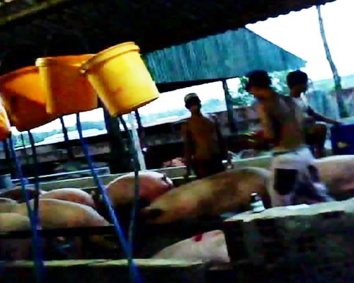 Đột nhập