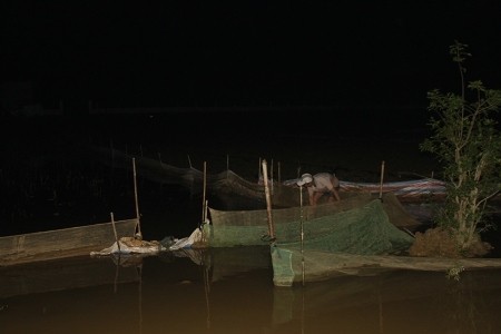 Kiếm vài triệu đồng một đêm nhờ bắt rươi - ảnh 1