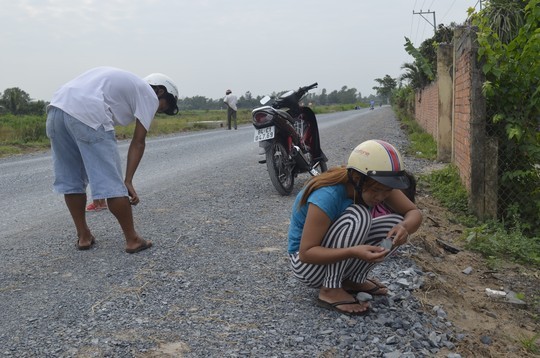 Trà Vinh: Dân đổ ra đường nhặt “vàng“ - ảnh 1