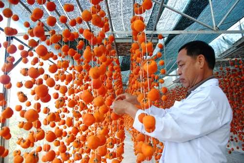Làm giàu từ công nghệ Nhật - ảnh 1