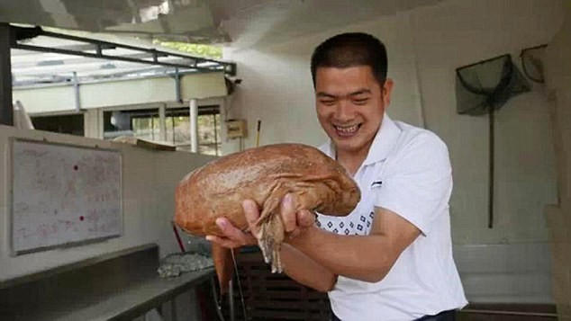 Bắt được kỳ nhông khổng lồ 170 triệu năm vẫn còn sống? - ảnh 2