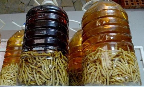 Còng lưng bắt sâu chít chiều chồng - ảnh 1