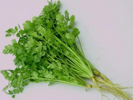 7 loại rau củ nếu gieo trồng vào mùa thu sẽ lên xanh tốt mơn mởn - ảnh 4
