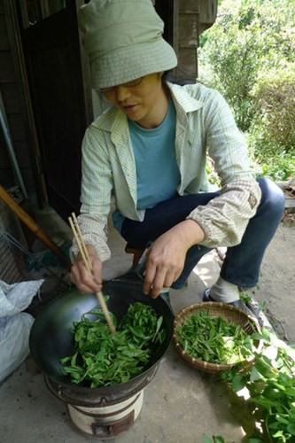 Say trà ở thiên đường trà sencha Nhật Bản - ảnh 11