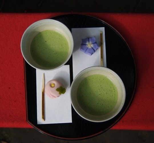 Say trà ở thiên đường trà sencha Nhật Bản - ảnh 14