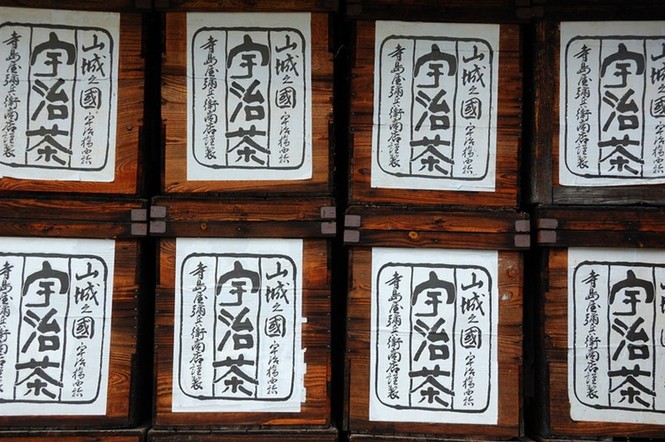 Say trà ở thiên đường trà sencha Nhật Bản - ảnh 3