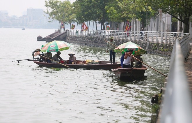 cá chết hồ tây - ảnh 4