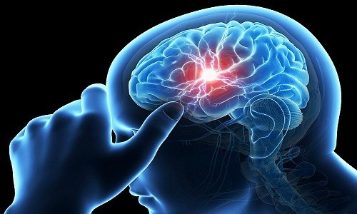 10 tác dụng tuyệt vời của hạt cau - ảnh 1