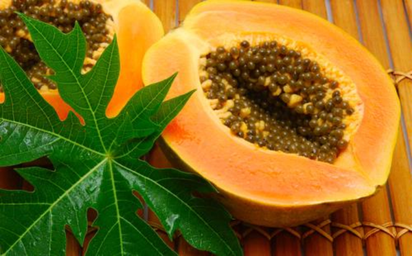 Các loại thực phẩm cực tốt cho thính lực - ảnh 2