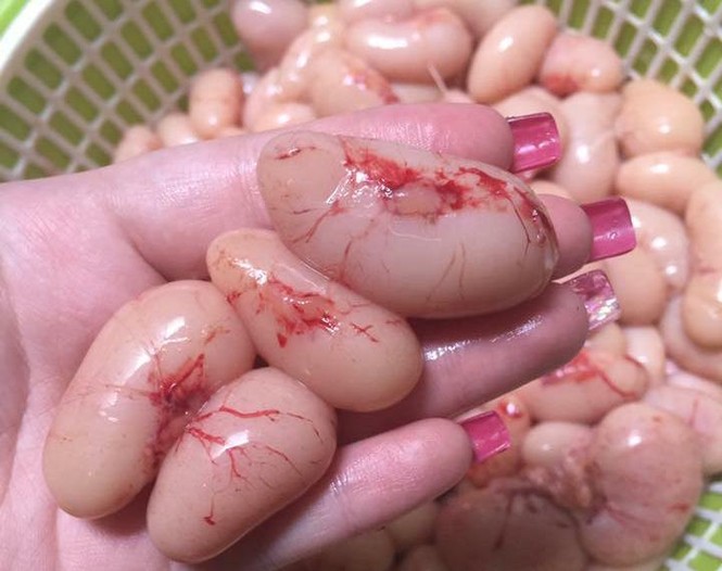 Nguồn gốc bí ẩn