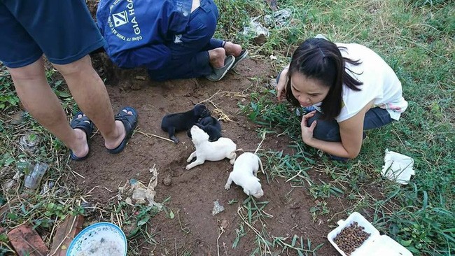 Nhóm bạn trẻ làm gì khiến dân mạng rào rào khen ngợi - ảnh 2