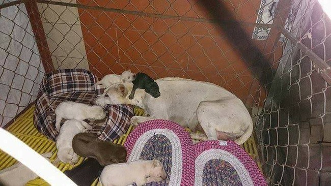 Nhóm bạn trẻ làm gì khiến dân mạng rào rào khen ngợi - ảnh 3
