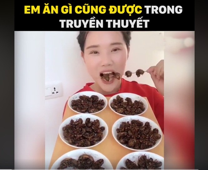 Cô gái xơi tái côn trùng, bọ cạp - ảnh 2