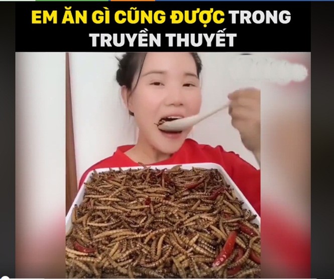 Cô gái xơi tái côn trùng, bọ cạp - ảnh 3