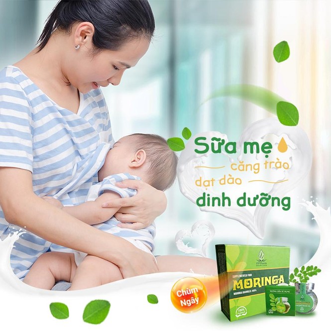 Sữa về chan chứa với cốm lợi sữa Moringa - ảnh 1