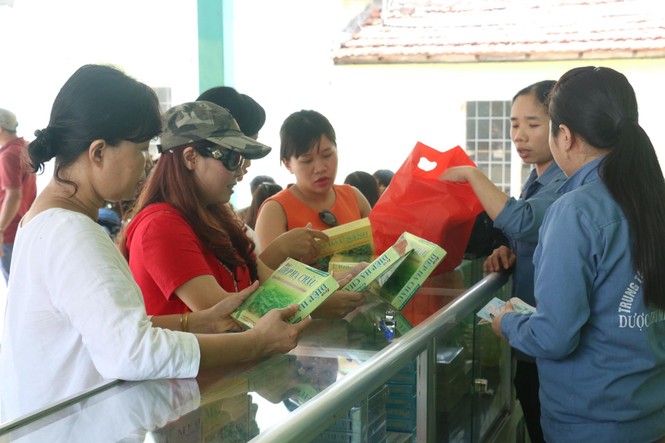 Thăm những vườn cây thuốc đẹp mê mẩn ở Phú Yên - ảnh 4