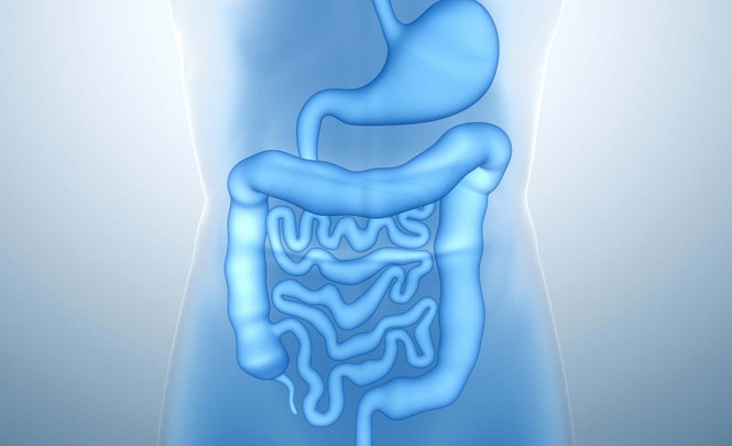 Bước nhảy vọt lớn nhất trong thập kỷ qua của ngành dinh dưỡng nhi - ảnh 1