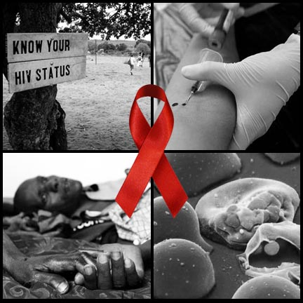 HIV lây truyền qua đường máu như thế nào? - ảnh 1