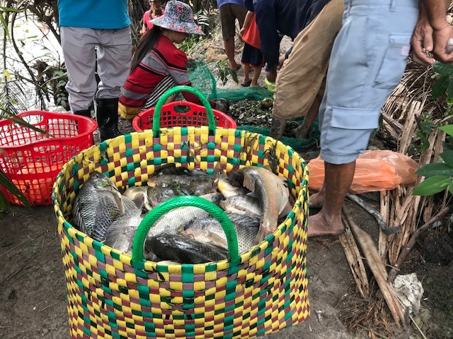 Người dân xã Đa Phước trúng mùa cá - ảnh 4