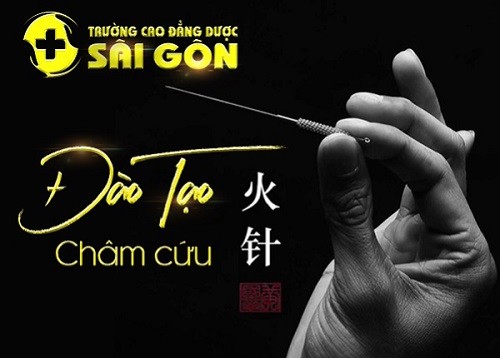 Học Trung cấp Y học cổ truyền Sài Gòn ra trường làm công việc gì? - ảnh 1