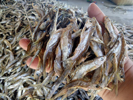 Kiếm bộn tiền từ nghề cá khô sông Đà - ảnh 9