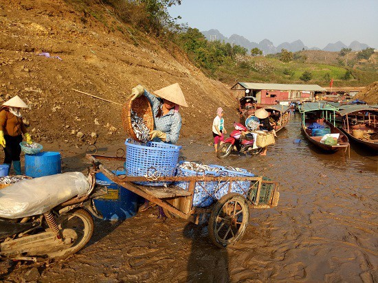 Kiếm bộn tiền từ nghề cá khô sông Đà - ảnh 4