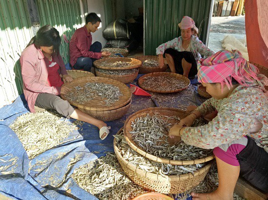Kiếm bộn tiền từ nghề cá khô sông Đà - ảnh 7