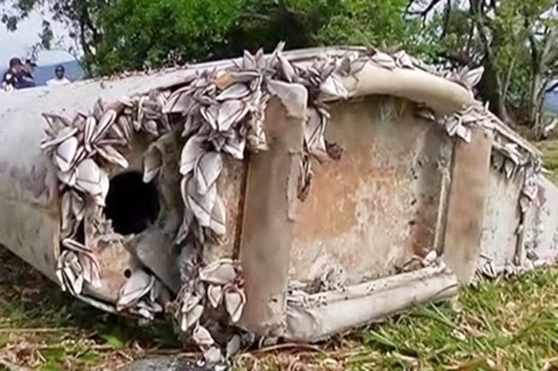 Mảnh vỡ MH370 bị làm giả để che đậy bí mật động trời? - ảnh 1
