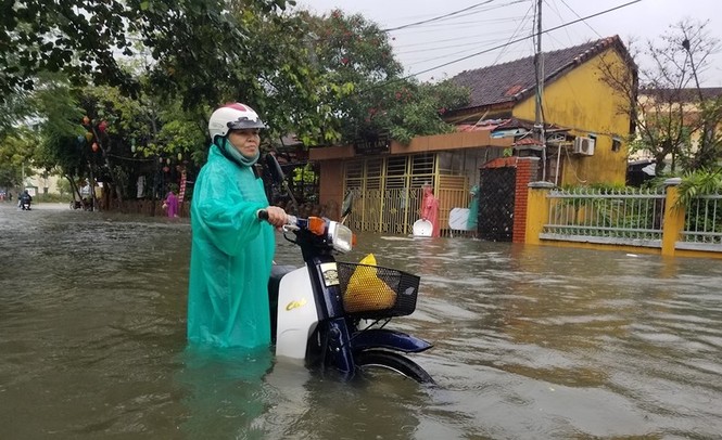 Hội An chìm trong lũ - ảnh 4