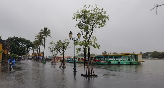 Hội An chìm trong lũ - ảnh 7