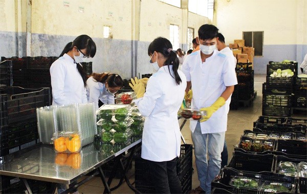 Người bán hàng rong thành “vua rau sạch” - ảnh 3