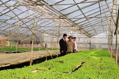 Agribank và Trung ương Hội Nông dân Việt Nam tăng cường hợp tác - ảnh 1
