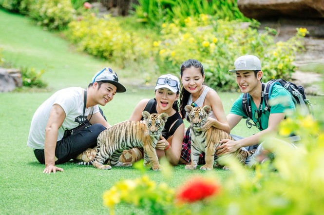 Hà Mã mới sinh tại Vinpearl Land được đặt tên ‘Champion’ - ảnh 5