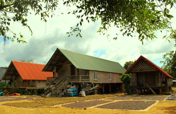 Vùng đất cổ truyền trên cao nguyên đất đỏ - ảnh 1