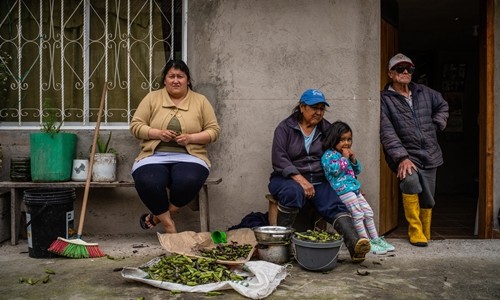 Con đập khiến Ecuador ngập trong nợ nần với Trung Quốc - ảnh 2