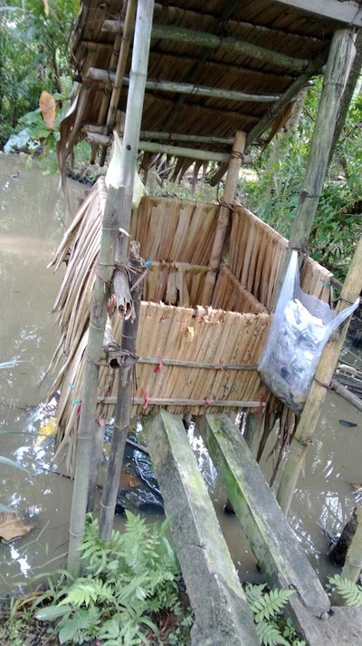 Hệ luỵ khó lường từ thực trạng “tiện” đâu phóng uế đấy - ảnh 1
