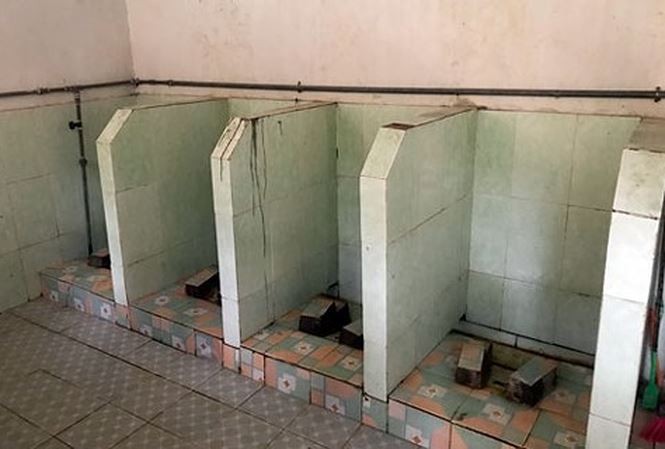 Bộ GD&ĐT đóng vai trò quan trọng trong mô hình vệ sinh toàn xã - ảnh 1