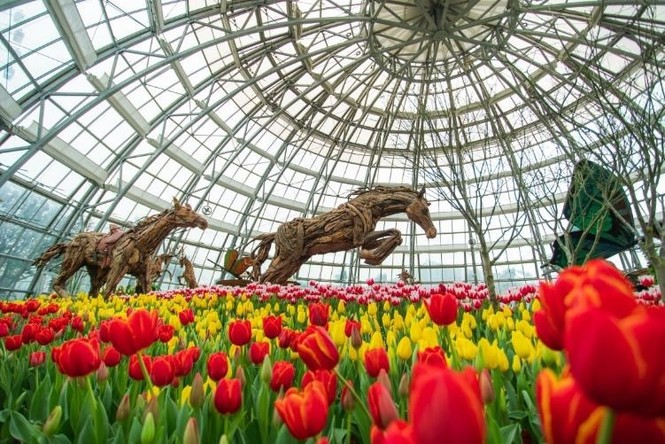 360 kiểu sống ảo để đời tại “Hà Lan phiên bản Việt” ở Nha Trang - ảnh 2