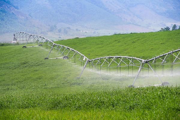Lãi 450 tỷ - bà Thái Hương khai mở con đường làm giàu từ nông nghiệp - ảnh 1