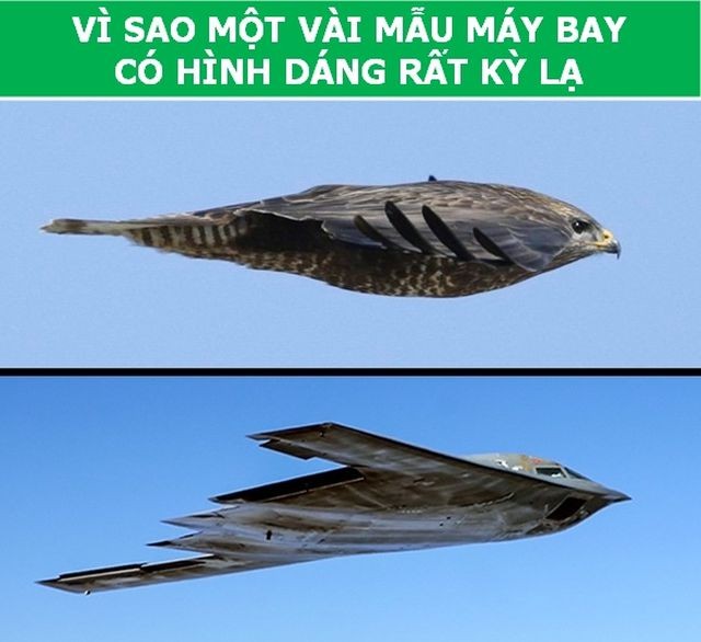 Cùng giải đáp những bí ẩn 'muôn thuở' của ngành hàng không - ảnh 3