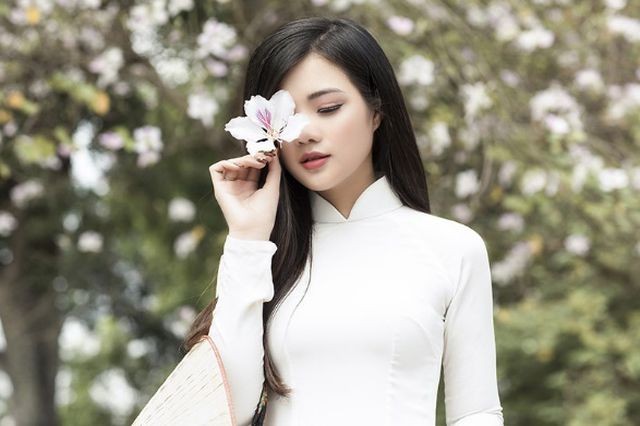 Thiếu nữ xinh đẹp đội nón lá khoe sắc với hoa ban - ảnh 3