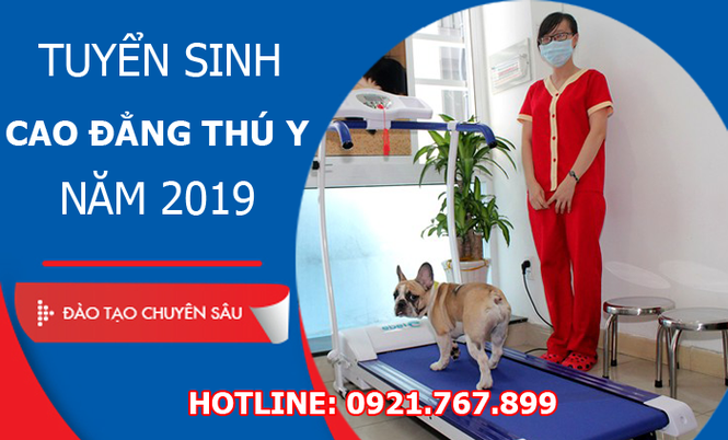 Đăng ký học Cao đẳng thú y Hà Nội ở đâu? - ảnh 3