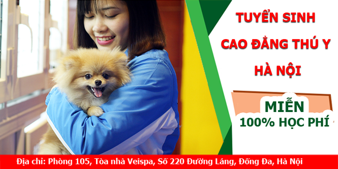 Đăng ký học Cao đẳng thú y Hà Nội ở đâu? - ảnh 1